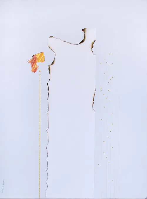 Flor Bardica — Pedro Losa