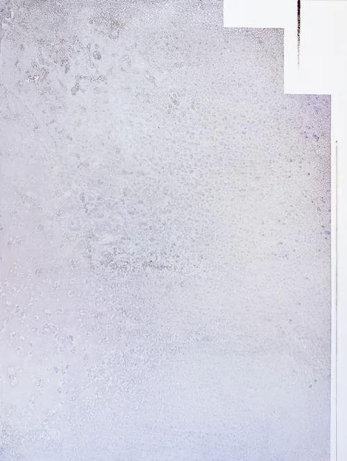 Interior Plateado 1 50x1 16 — Pedro Losa