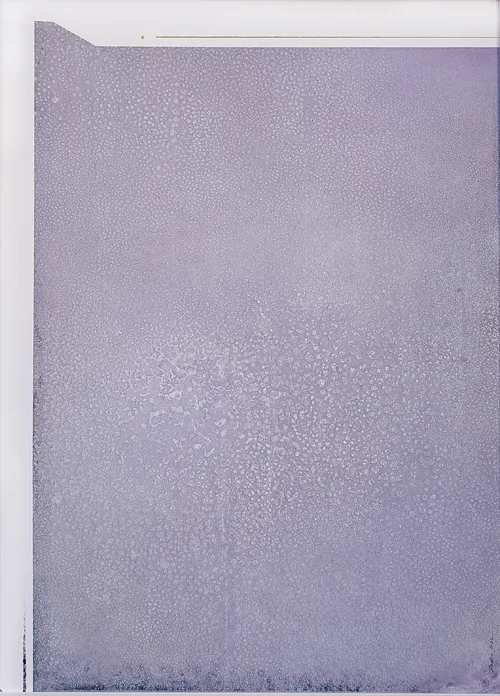 Universo Malva Azul 0 7x1 00 — Pedro Losa